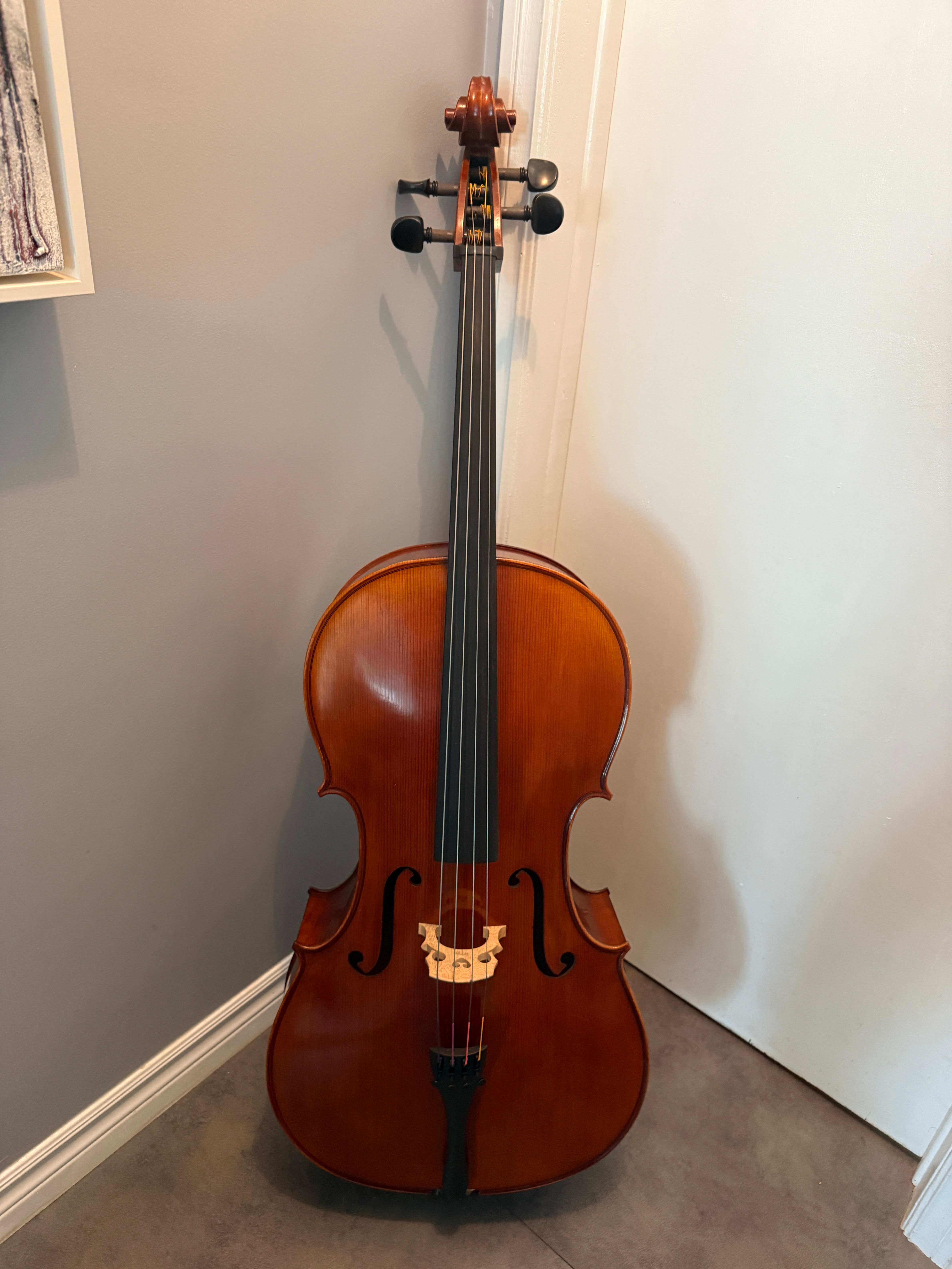 Gewa full sized cello "Marek Dorian"