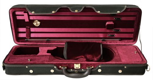 Eastman Galiano violin case